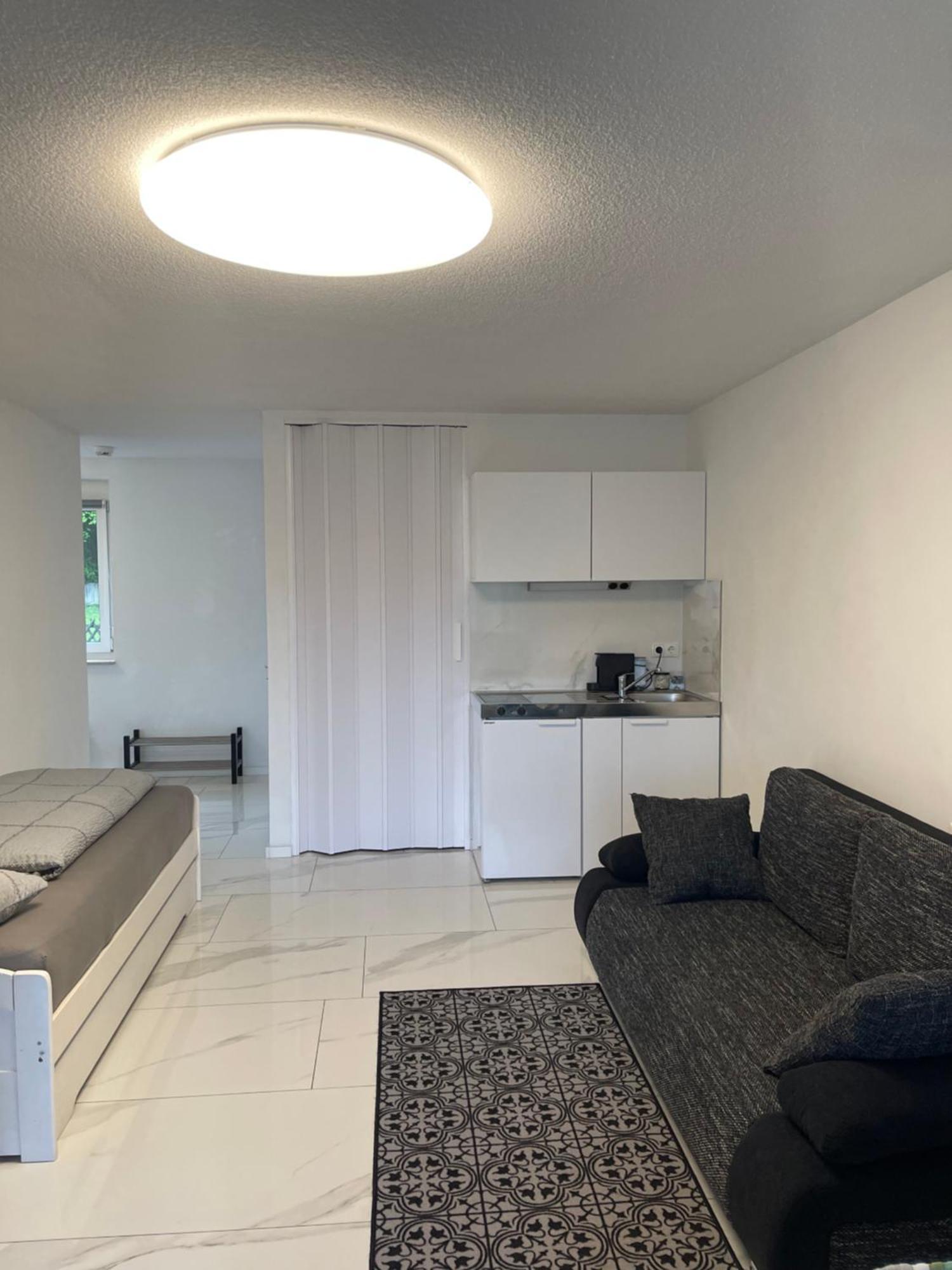 Apartment Bergsee Bad Säckingen Kültér fotó